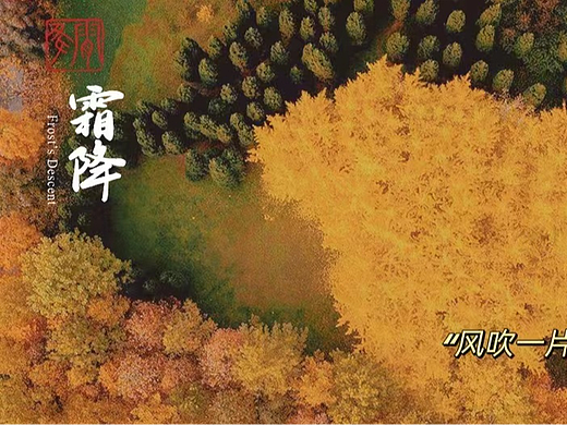 艾德节气 | 今日霜降