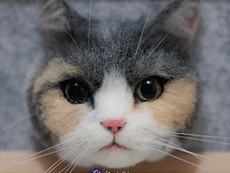羊毛毡猫咪头像相框