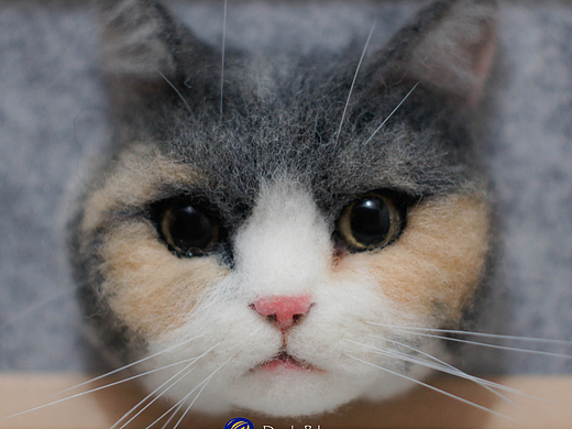 羊毛毡猫咪头像相框（个人主页-ZNjIwOTE3MTI=） - 其他手工艺 - 站酷设计师水良平原创素材 - 站酷ZCOOL
