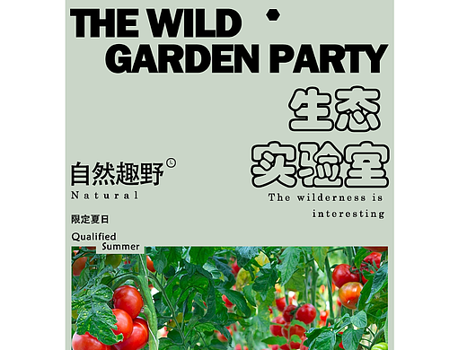 第七天