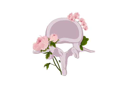 医学插画-国家植物园素材（个人主页-ZNTk1NTMxMTI=） - 创作习作 - 站酷设计师草莓大付原创素材 - 站酷ZCOOL