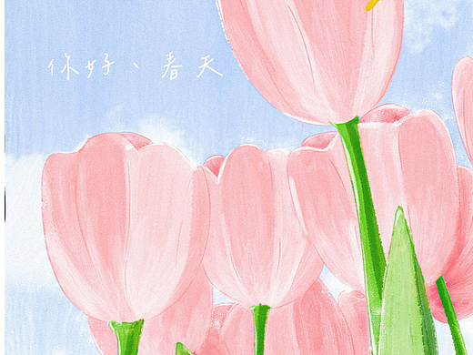 春日郁金香壁纸