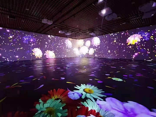 夜游光影 地面互动投影 夜游项目互动花海
