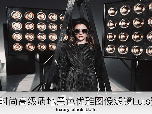 时尚高级质地黑色优雅图像滤镜Luts预设
