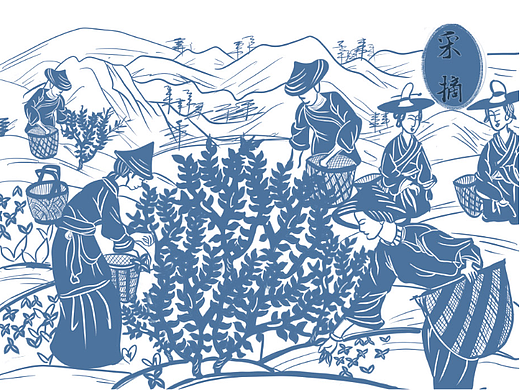 九曲红梅剪纸风格插画