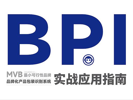 BPI方法论实战应用案例