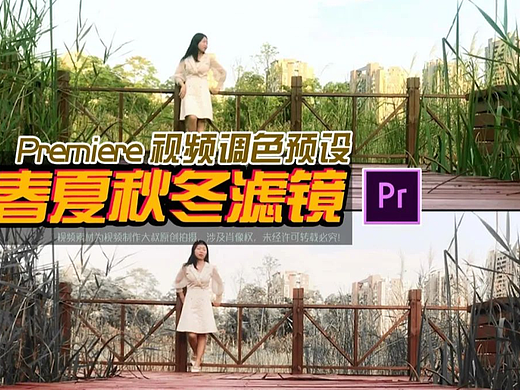350款商业调色PR​滤镜, 一键秒出春夏秋冬四季大片！