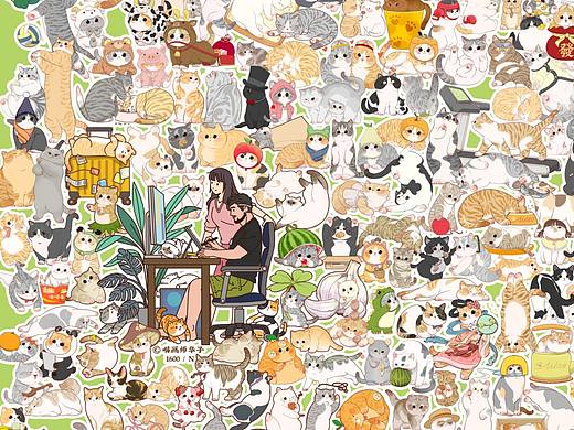画猫的1600天记录!第五季完结撒花！