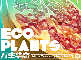 EcoPlants数字资产 品牌识别设计