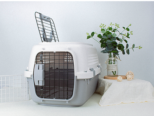 宠物产品拍摄 航空箱