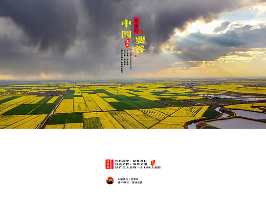 屈家岭 | 一粒稻谷繁衍的千古文明