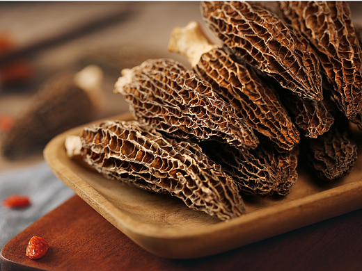 一组菌菇（个人主页-ZNjEyMzUxMTI=） - 产品摄影 - 站酷设计师钟豆原创素材 - 站酷ZCOOL