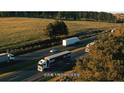 振飞商城宣传片