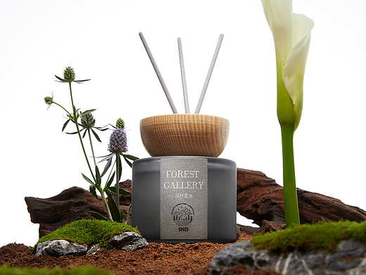 【12月刊】一场气味之约