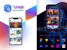 飞瓜电影（优化版）