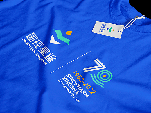 国控星鲨LOGO 品牌升级提案