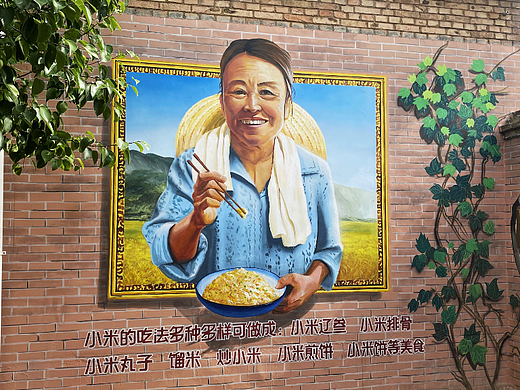 美丽乡村振兴乡村文化墙墙绘彩绘壁画涂鸦农作物食品3D