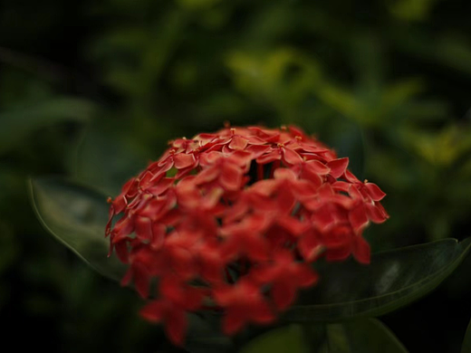 摄影（个人主页-ZNjEyNTc1MDQ=） - 其他摄影 - 站酷设计师南祭原创素材 - 站酷ZCOOL