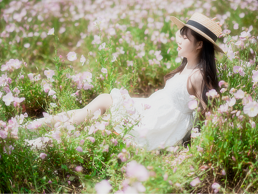 月见草花海