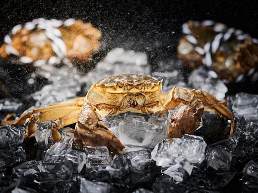 美食摄影 美团 饿了么菜品拍摄制作