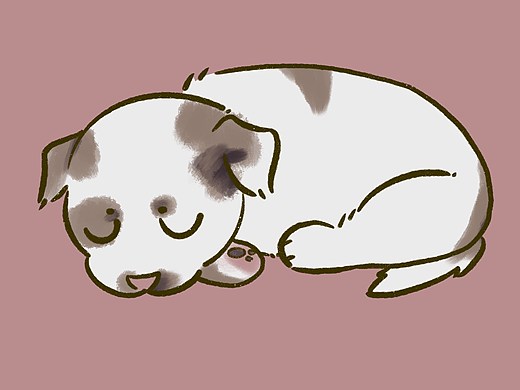 小花狗