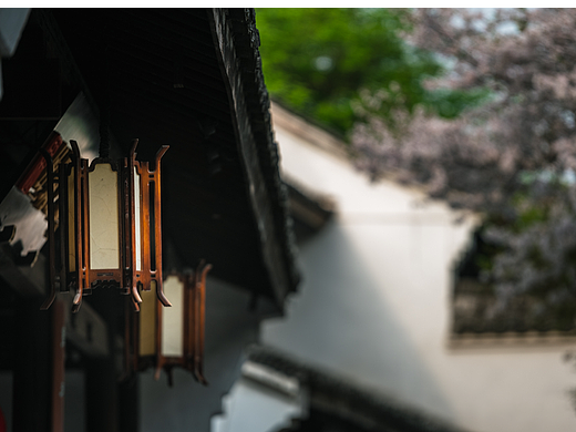 西溪湿地