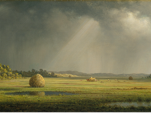 纽伯里波特草地 Newburyport Meadows