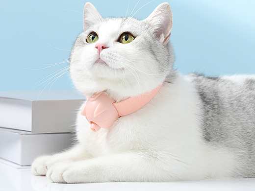 宠物用品/激光笔猫玩具