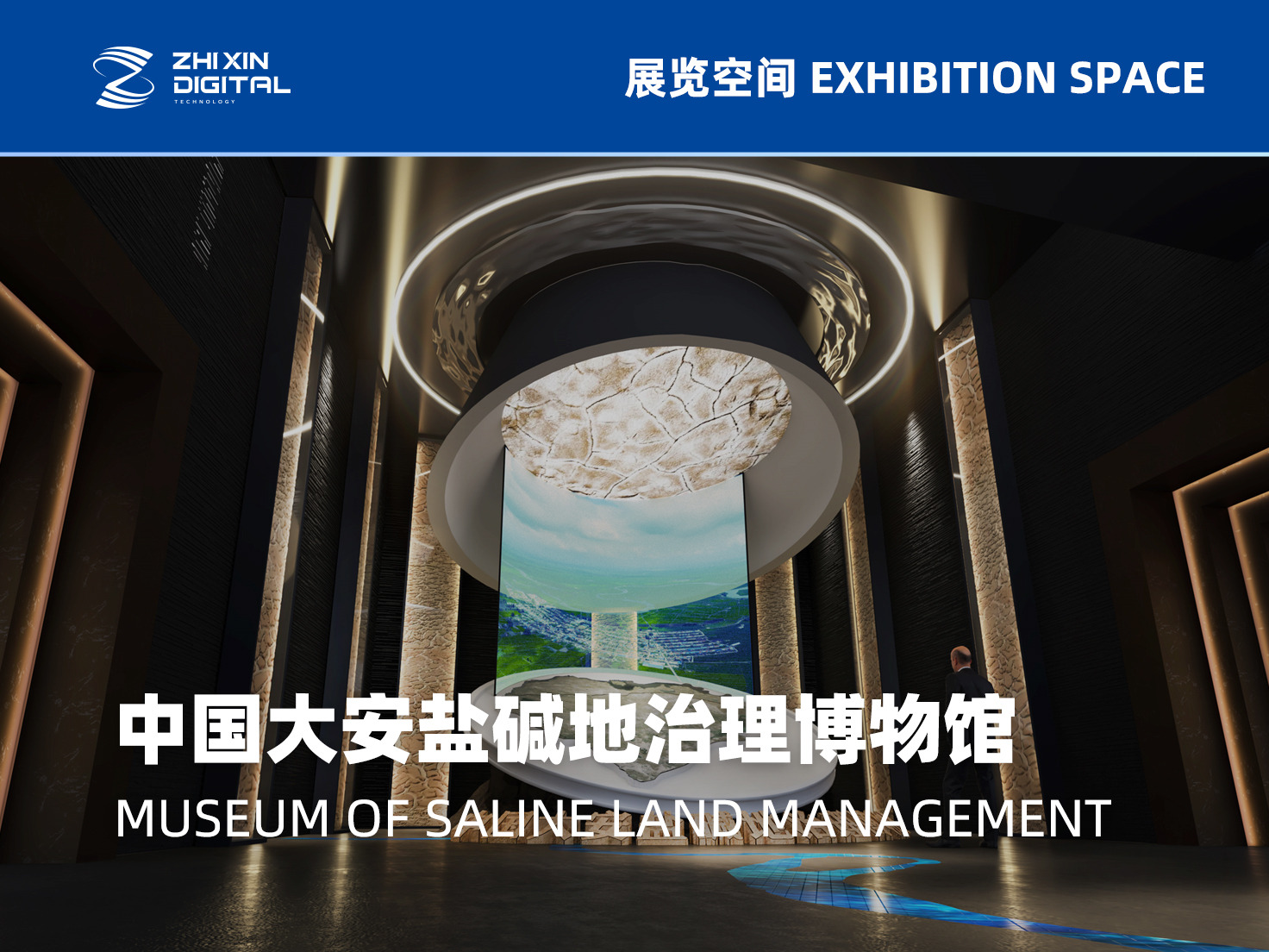 展示