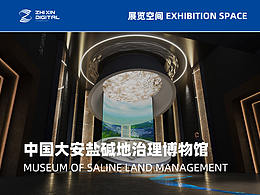 展示