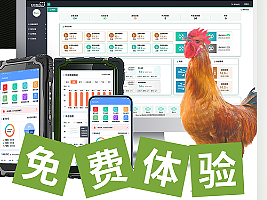海报