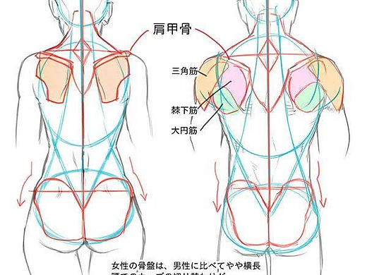 CG绘画丨板绘教程丨原画教程丨男女背部画法