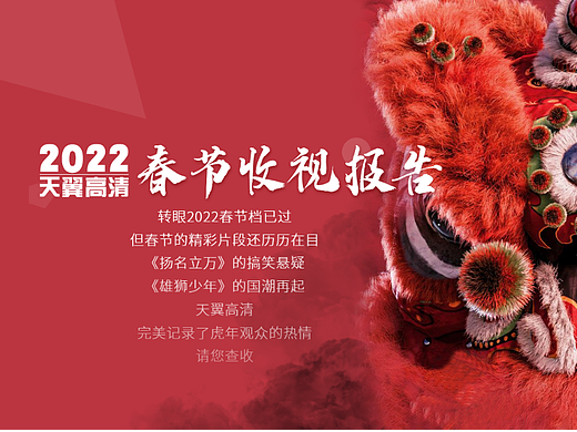 电视端收视报告