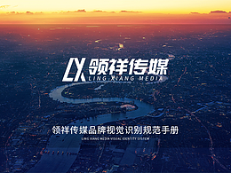 領(lǐng)祥傳媒品牌視覺識別規(guī)范手冊
