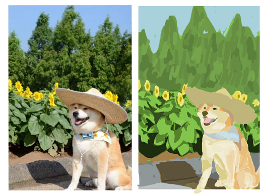彩圈