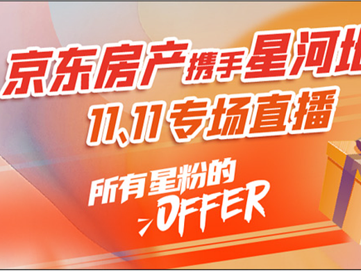 星河双11直播活动