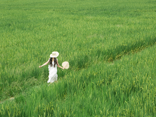 稻田写真（个人主页-ZNjU5MTM4NDQ=） - 人像摄影 - 站酷设计师女摄二猫原创素材 - 站酷ZCOOL