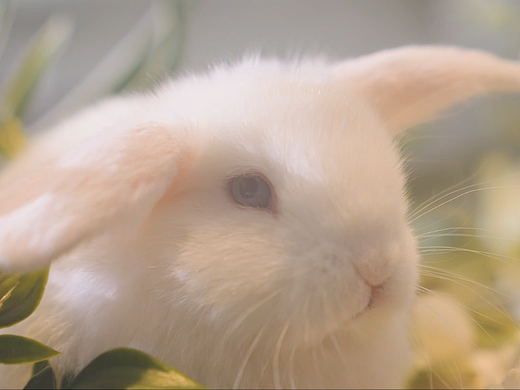 没界｜LAZBOY月伴湾TVC创意广告拍摄