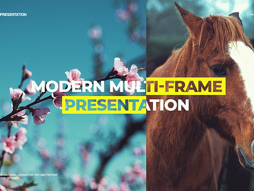 PR模板 | 分屏创意多帧自然动物动画时尚过渡效果标题