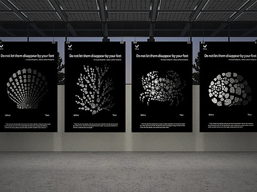 Do not let them disappear by your feet!