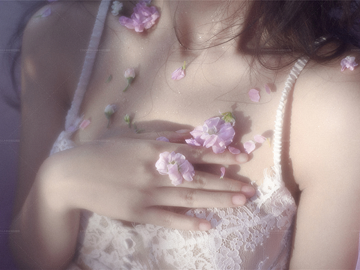 写真（十九
