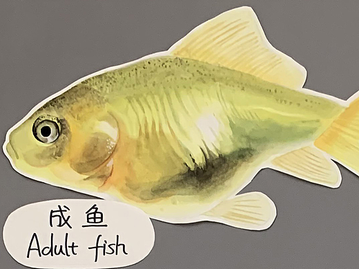 水彩繪畫（個人主頁-ZNjExODg0MjQ=） - 創(chuàng)作習作 - 站酷設計師賽襪子原創(chuàng)素材 - 站酷ZCOOL