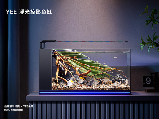 YEE水族 | 桌面鱼缸产品策划摄影 | 东莞锐图摄影