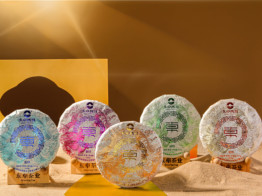 2024年5月产品拍摄 普洱茶拍摄 五行印记——金印