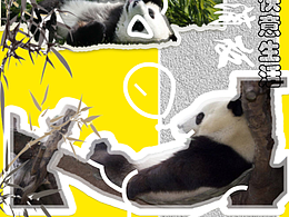 第七天 涂鴉效果練習(xí)