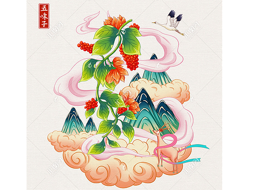 五味子中草药插画