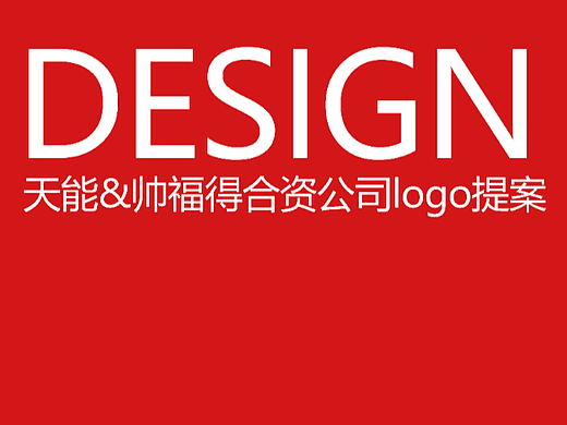 天能&帅福得LOGO提案-飞机稿