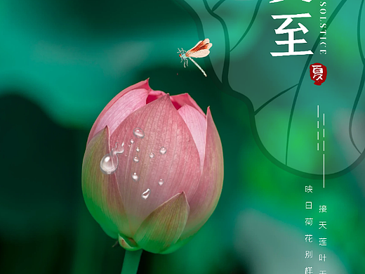 2022夏至24节气海报企业借势营销节日简约商务海报清新