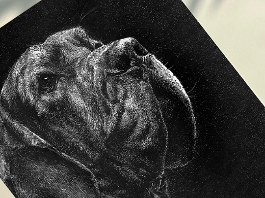 写实—犬