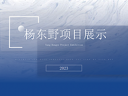 质量管理项目展示2023
